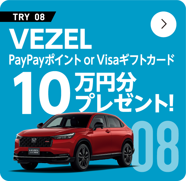 VEZEL paypay�|�C���gorVISA�M�t�g�J�[�h 10���~���v���[���g