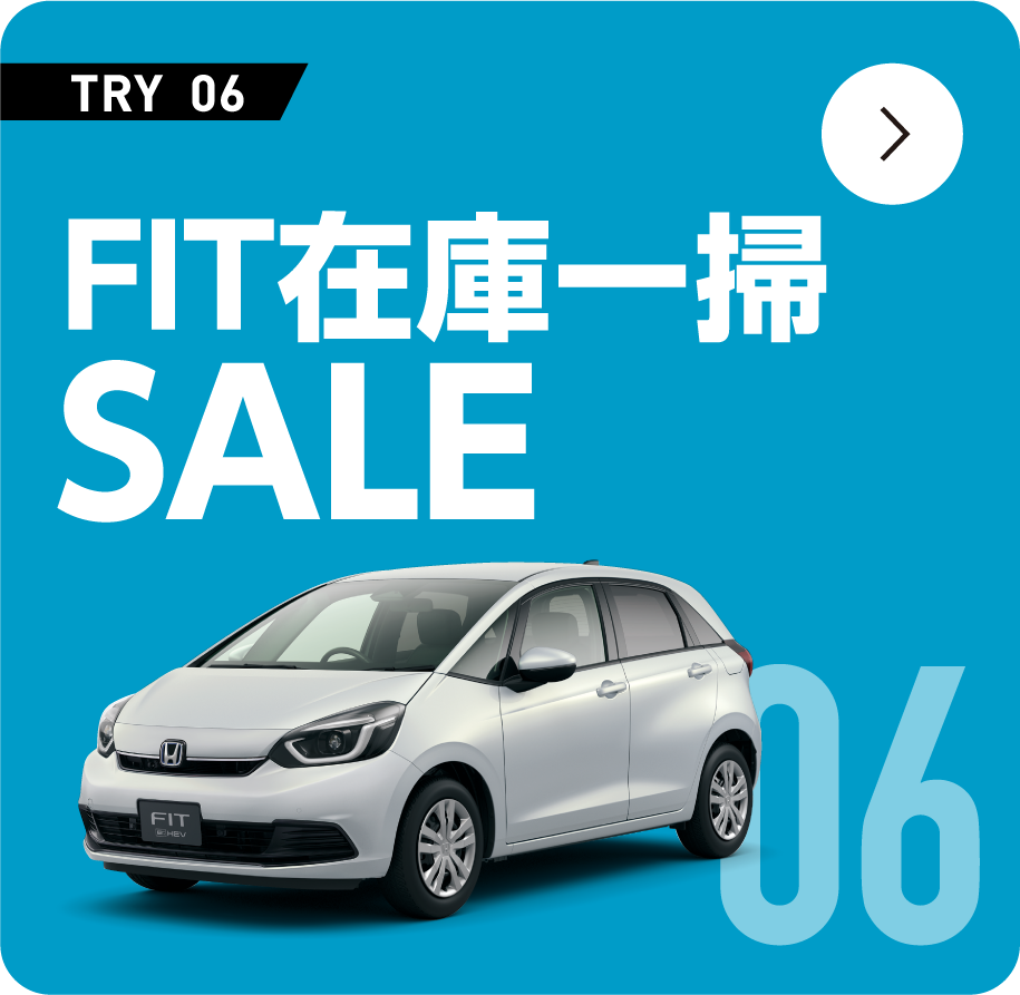 FIT �݌Ɉ�|SALE