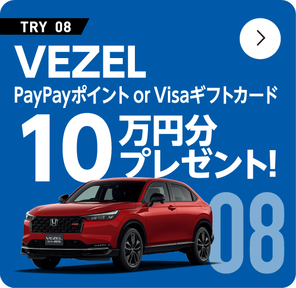 VEZEL paypay�|�C���gorVISA�M�t�g�J�[�h 10���~���v���[���g