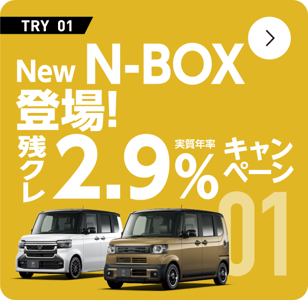 NEW N-BOX�o��