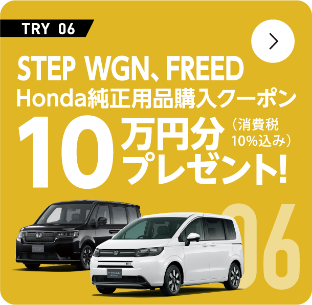 STEP WGN,FREED