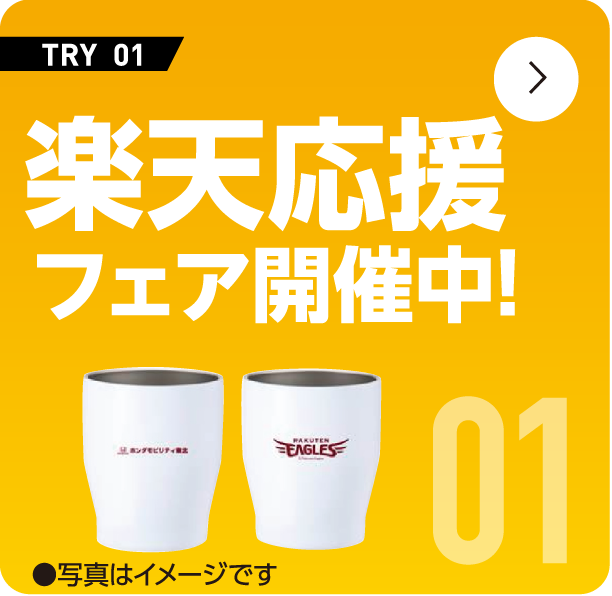 �y�V�����t�F�A�J�Ò��I