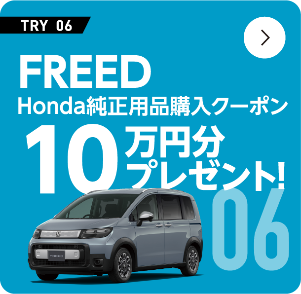 FREED Honda�����p�i 10���~���v���[���g�I