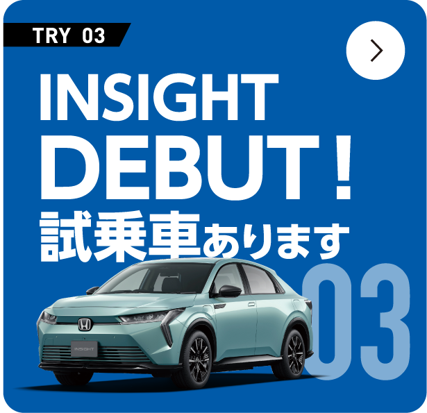 INSIGHT DEBUT!