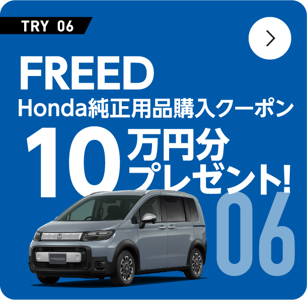 FREED Honda�����p�i 10���~���v���[���g�I