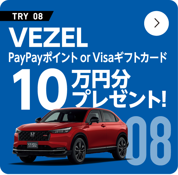 VEZEL paypay�|�C���gorVISA�M�t�g�J�[�h 10���~���v���[���g